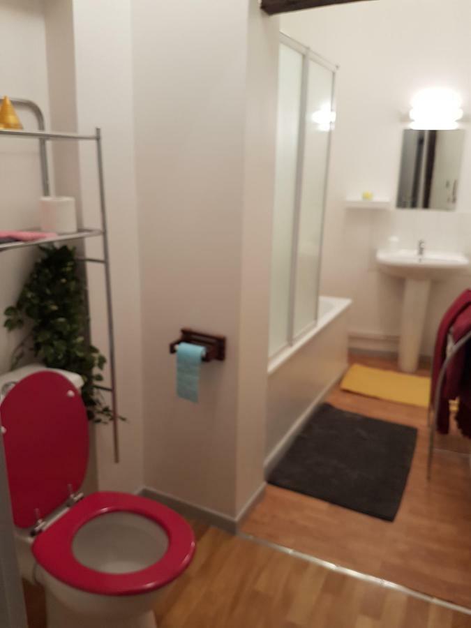 Appartement Du Vieux ทรัวส์ ภายนอก รูปภาพ